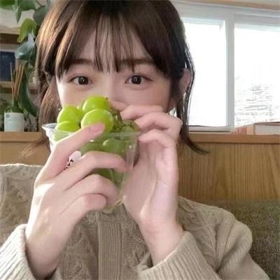高原上的家屋